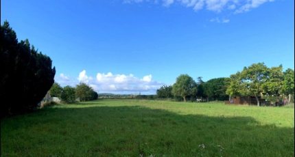 Lagardelle-sur-Lèze Terrain à bâtir - 2202503-10326annonce220250624vnhX0.jpeg Maisons Open