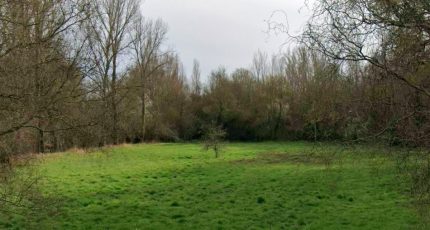 Saint-Hilaire Terrain à bâtir - 2206156-6043annonce420250626cTfcu.jpeg Maisons Open