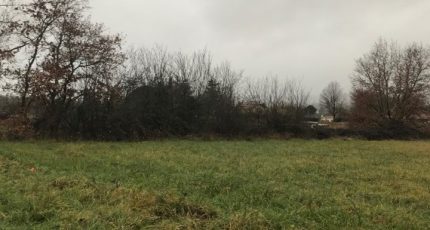 Montans Terrain à bâtir - 2146276-2684annonce220250501oCe4M.jpeg Maisons Open