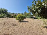  2212866-4866annonce120250703TPST5.jpeg Maisons Open