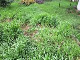  2218758-11041annonce3202507088UhMv.jpeg Maisons Open