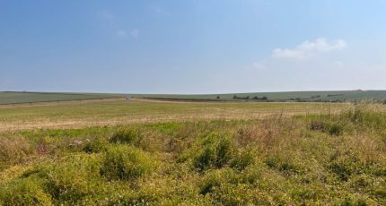 Milly-sur-Thérain Terrain à bâtir - 2227492-5165annonce120230613fWBgG.jpeg Maisons Open