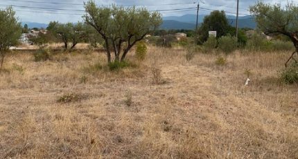 Gonfaron Terrain à bâtir - 2232562-4866annonce120250724Vs3bM.jpeg Maisons Open