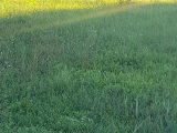  2232597-4866annonce120250724Wny87.jpeg Maisons Open