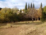  2243177-1594annonce1202508086ca4R.jpeg Maisons Open