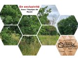  2249037-6043annonce120250822yo0Td.jpeg Maisons Open