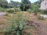  2255111-11041annonce120250830PiWnX.jpeg Maisons Open