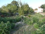  2240730-11456annonce2202508055v5t0.jpeg Maisons Open