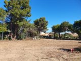  2256831-665annonce1202509019aSVv.jpeg Maisons Open