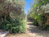  2259926-7080annonce220250904Ie3Do.jpeg Maisons Open