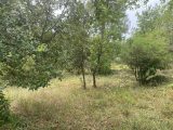  2264382-5622annonce320250908I6E5P.jpeg Maisons Open
