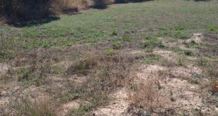 Aubagne Terrain à bâtir - 2270066-7080annonce2202509134LUTU.jpeg Maisons Open