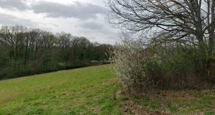 Le Fousseret Terrain à bâtir - 2271823-6043annonce420250915XtGaw.jpeg Maisons Open