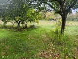   Maisons Open