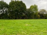  2293661-3704annonce120251003rf4XU.jpeg Maisons Open
