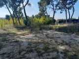  2309419-11238annonce2202510179nmZL.jpeg Maisons Open