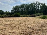  2319612-3704annonce120251028nT1Tw.jpeg Maisons Open