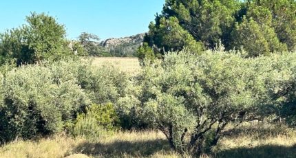 Roquemaure Terrain à bâtir - 2321353-3418annonce320231028xaXTB.jpeg Maisons Open