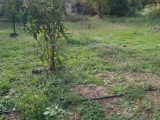  2287857-7080annonce2202511142mJua.jpeg Maisons Open