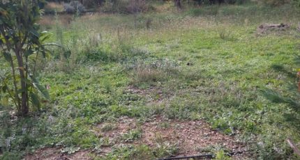 Aubagne Terrain à bâtir - 2287857-7080annonce320251114pdQCK.jpeg Maisons Open