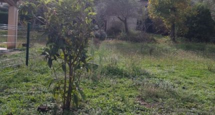 Aubagne Terrain à bâtir - 2287857-7080annonce420251114W9APU.jpeg Maisons Open