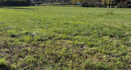 Albi Terrain à bâtir - 2329587-2684annonce320251106Rg3QW.jpeg Maisons Open