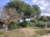  2338627-11680annonce220251114gND66.jpeg Maisons Open