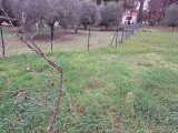  2364744-11041annonce120251211T6R0K.jpeg Maisons Open