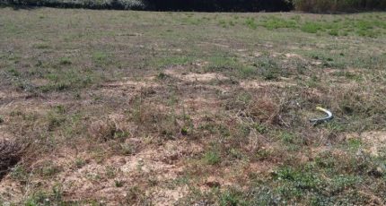 Aubagne Terrain à bâtir - 2382067-7080annonce520260105N6C29.jpeg Maisons Open