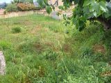  2388642-11041annonce120260111BqcDt.jpeg Maisons Open