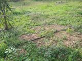  2403495-7080annonce120251114cUm7X.jpeg Maisons Open