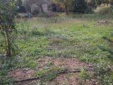  2403495-7080annonce320251114pdQCK.jpeg Maisons Open