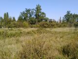  2415145-695annonce220260202cZs6M.jpeg Maisons Open
