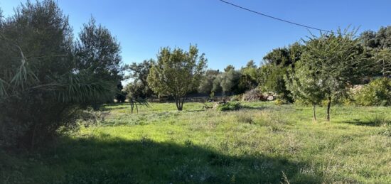 Terrain à bâtir à La Garde, Provence-Alpes-Côte d'Azur