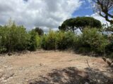  2417413-4590annonce120260203D5mdD.jpeg Maisons Open