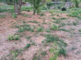  2418925-11041annonce120260205oayNO.jpeg Maisons Open