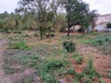 2418925-11041annonce320260205aTGm3.jpeg Maisons Open