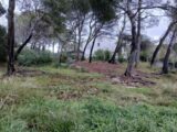  2419978-11680annonce2202602057T5Z5.jpeg Maisons Open