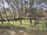  2429975-11680annonce420260216GD8Kk.jpeg Maisons Open