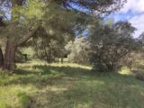  2430238-11680annonce120260216TFe9I.jpeg Maisons Open