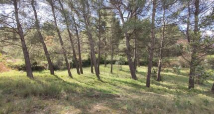Puyricard Terrain à bâtir - 2430238-11680annonce420260216dJhzo.jpeg Maisons Open