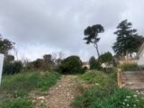  2441083-11680annonce420260225gpbNU.jpeg Maisons Open