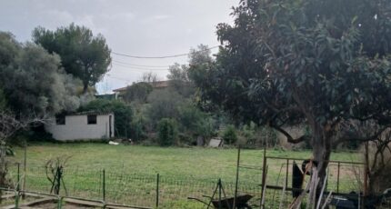 Marseille 13 Terrain à bâtir - 2441423-11680annonce520260226XIViU.jpeg Maisons Open