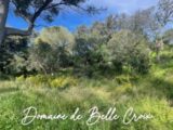  2446768-617annonce320250114dv6HH.jpeg Maisons Open
