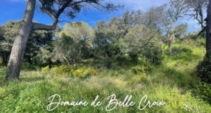 Villeneuve-lès-Avignon Terrain à bâtir - 2446768-617annonce320250114dv6HH.jpeg Maisons Open
