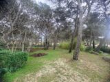  2454951-11680annonce1202603126F63y.jpeg Maisons Open