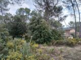 2455293-11680annonce120260312zBTaP.jpeg Maisons Open