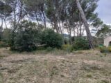  2455293-11680annonce3202603124VMqH.jpeg Maisons Open