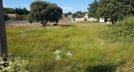 Avignon Terrain à bâtir - 2463485-695annonce320260320JBNdC.jpeg Maisons Open