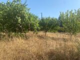  2463367-9599annonce120260320035ev.jpeg Maisons Open